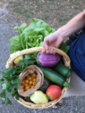 un panier de légumes